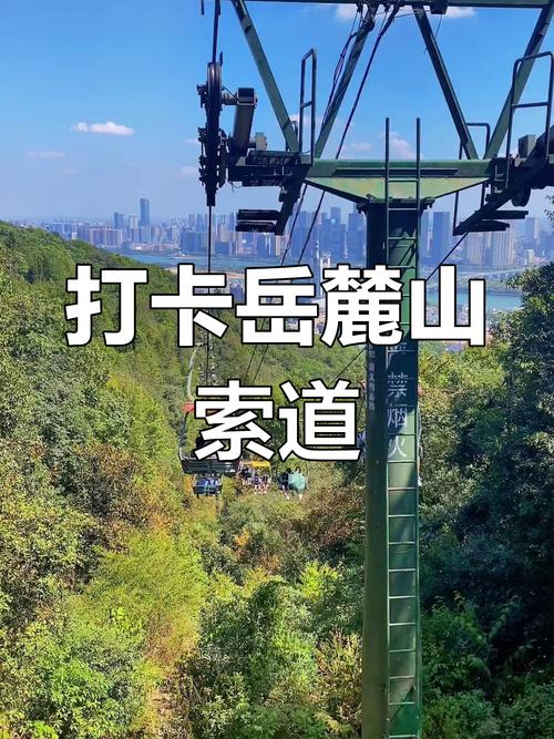 香港澳门 第7页