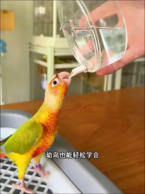 2025年6月8日