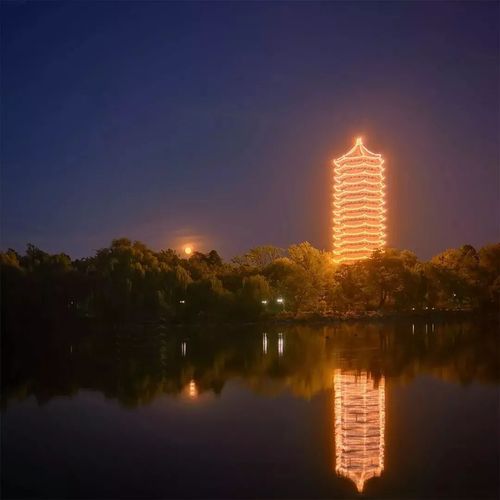 2025年6月10日